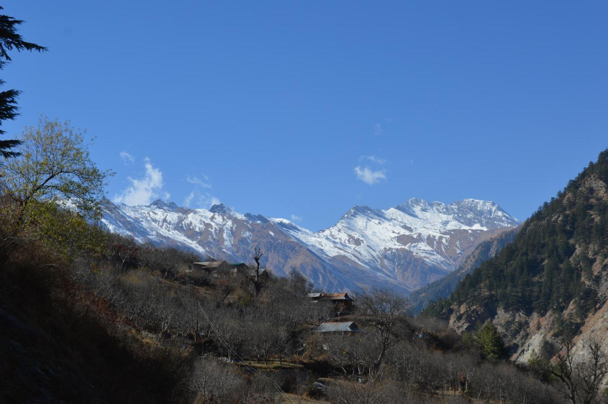 Laxmi Narayan Homestay-Harshil Harsil Bagian luar foto
