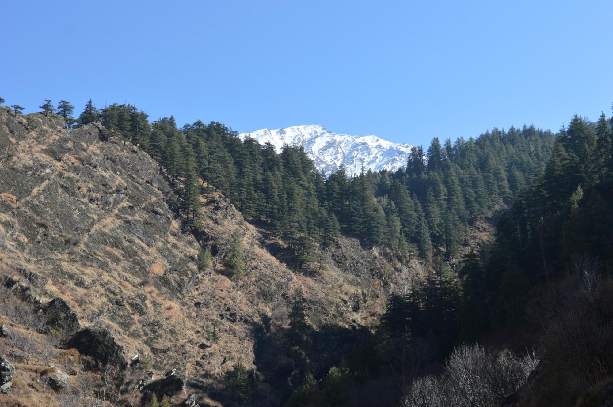 Laxmi Narayan Homestay-Harshil Harsil Bagian luar foto