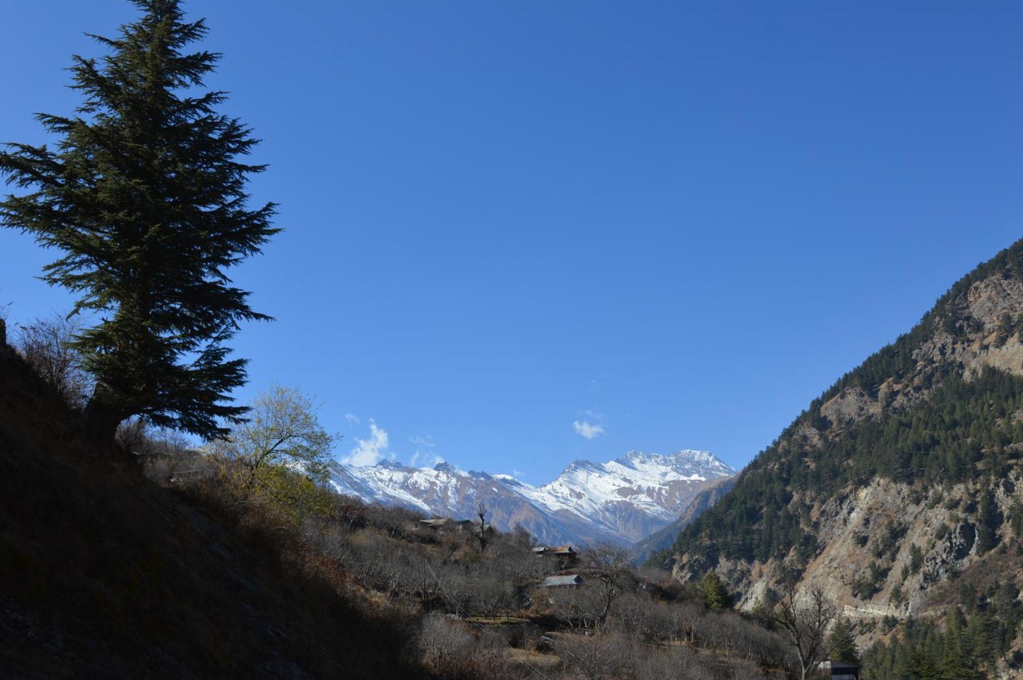 Laxmi Narayan Homestay-Harshil Harsil Bagian luar foto